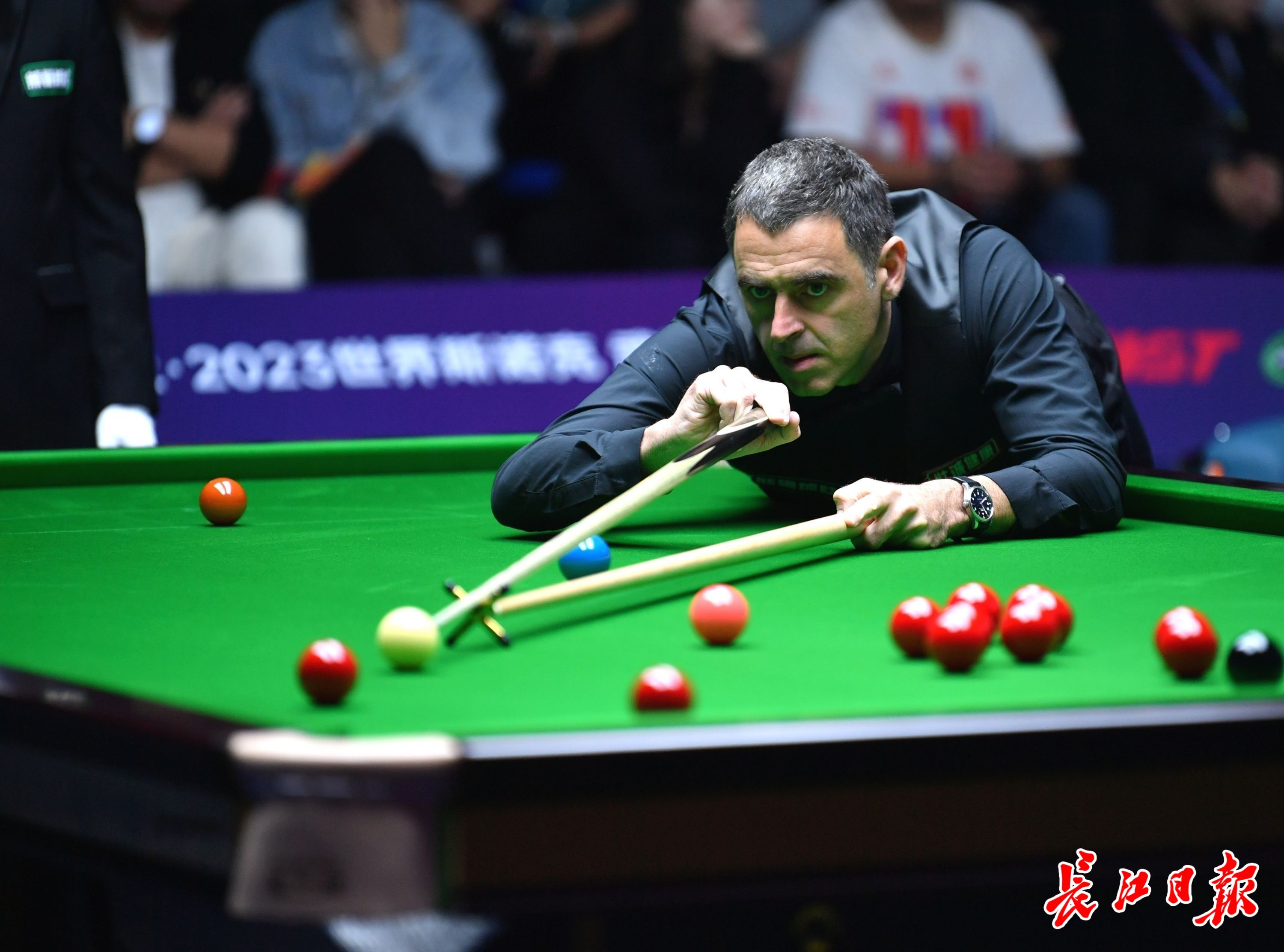 能高的回报 能高的回报